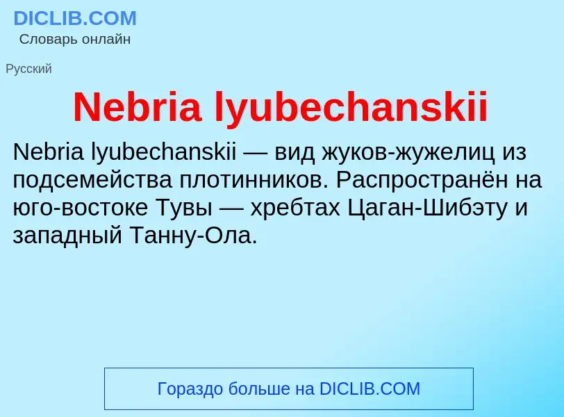 Что такое Nebria lyubechanskii - определение