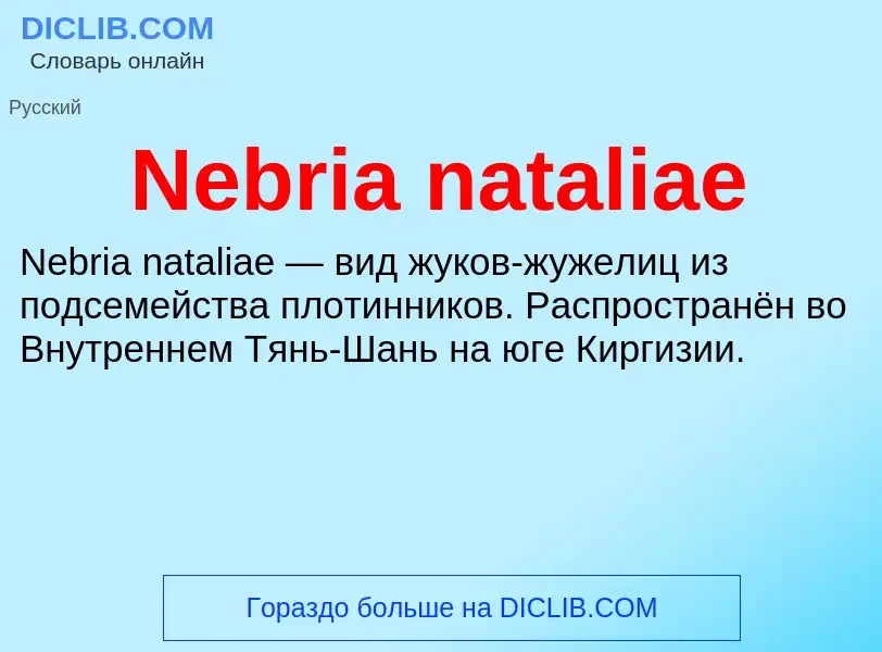 Что такое Nebria nataliae - определение