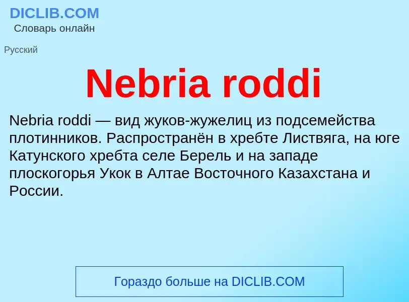 Что такое Nebria roddi - определение