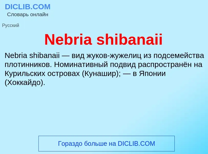 Что такое Nebria shibanaii - определение