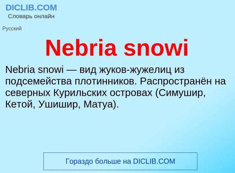 Что такое Nebria snowi - определение