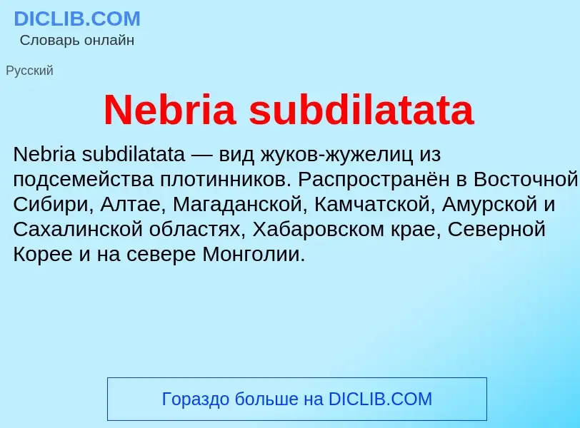 Что такое Nebria subdilatata - определение