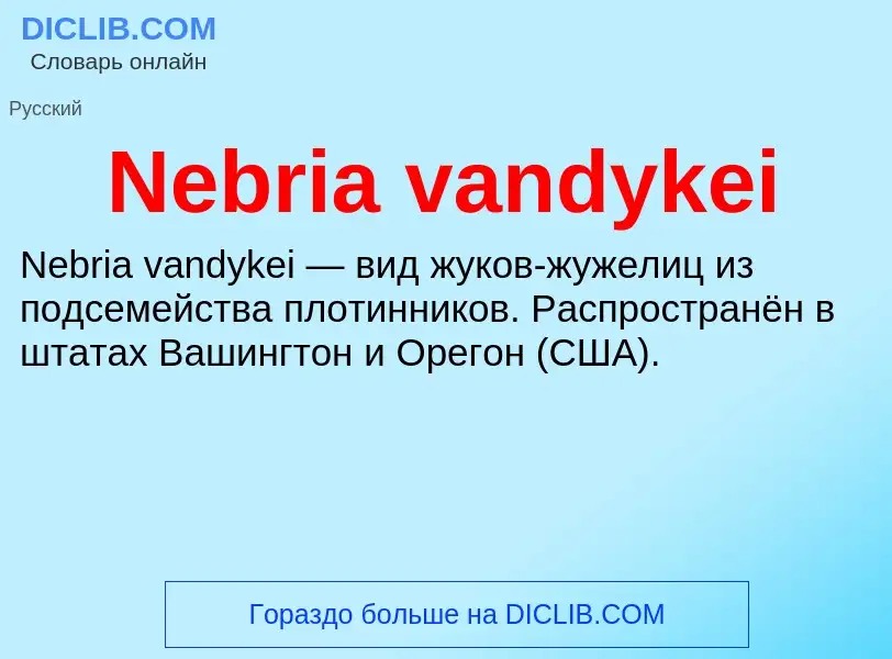 Что такое Nebria vandykei - определение