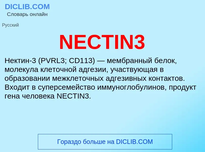 Что такое NECTIN3 - определение