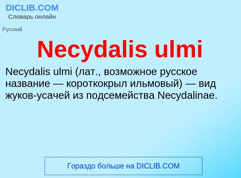 Что такое Necydalis ulmi - определение