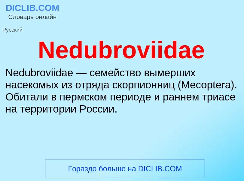 Что такое Nedubroviidae - определение