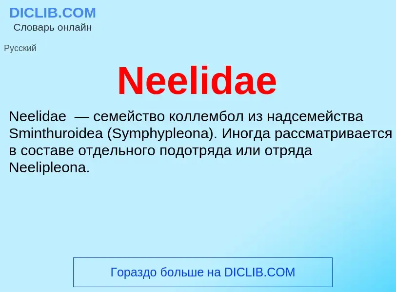 What is Neelidae - meaning and definition