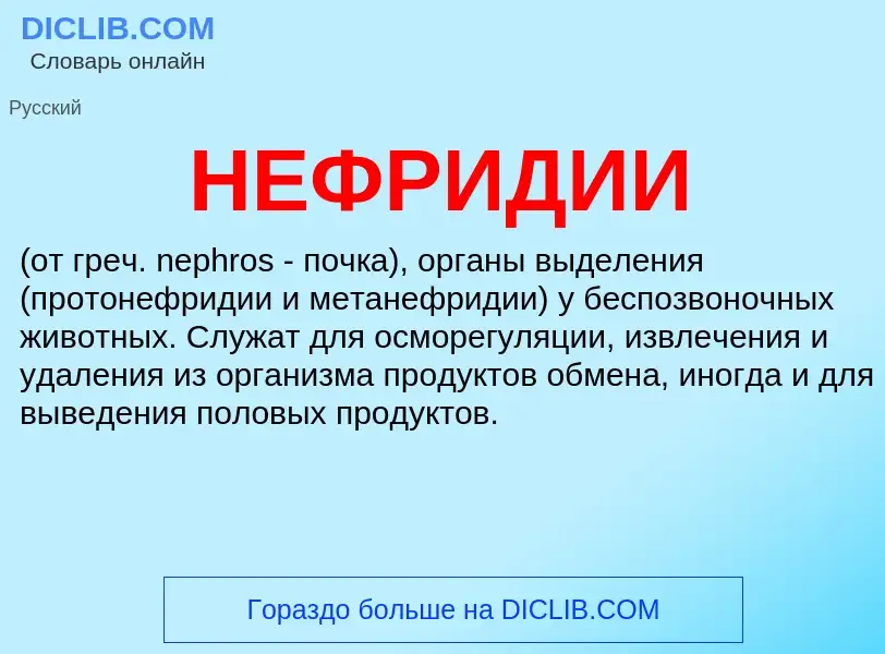 Qu'est-ce que НЕФРИДИИ - définition