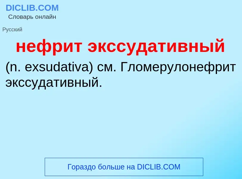 Что такое нефрит экссудативный  - определение