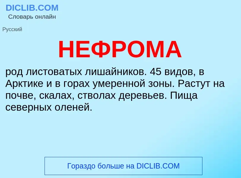 Что такое НЕФРОМА - определение