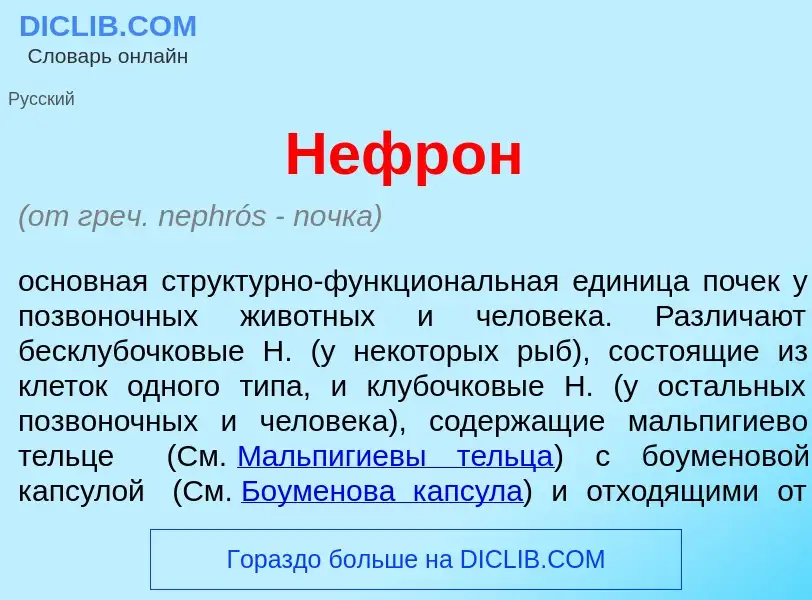 Что такое Нефр<font color="red">о</font>н - определение