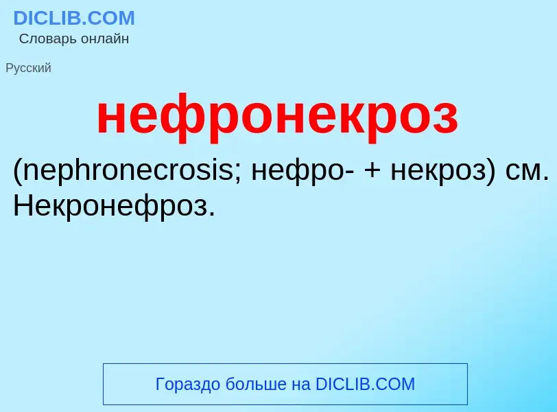 Что такое нефронекроз  - определение