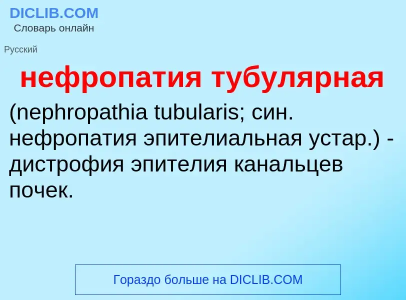 Что такое нефропатия тубулярная  - определение