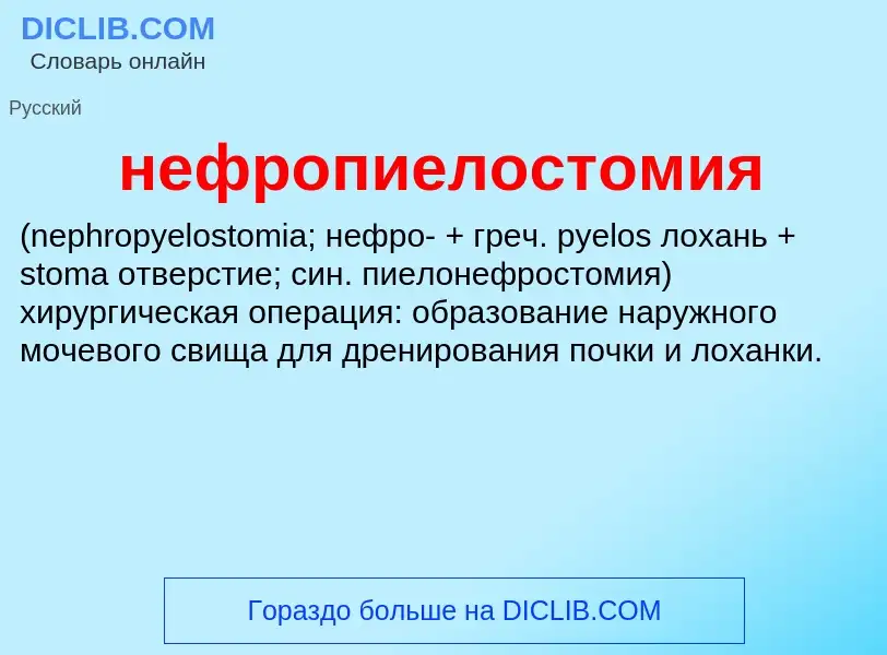 Что такое нефропиелостомия  - определение