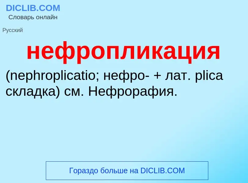 Что такое нефропликация  - определение