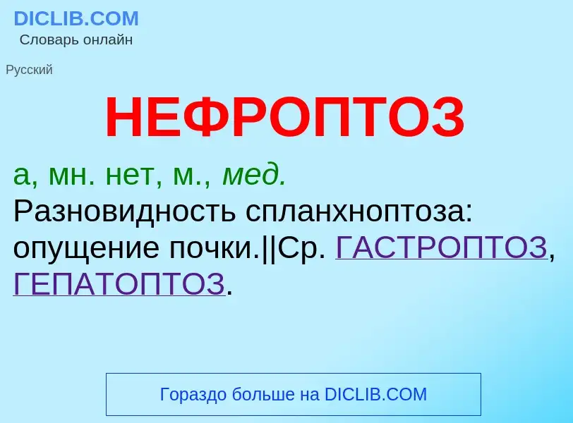 Что такое НЕФРОПТОЗ - определение