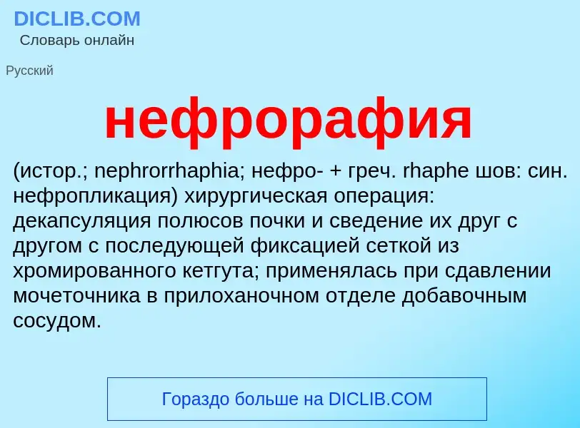 Что такое нефрорафия  - определение