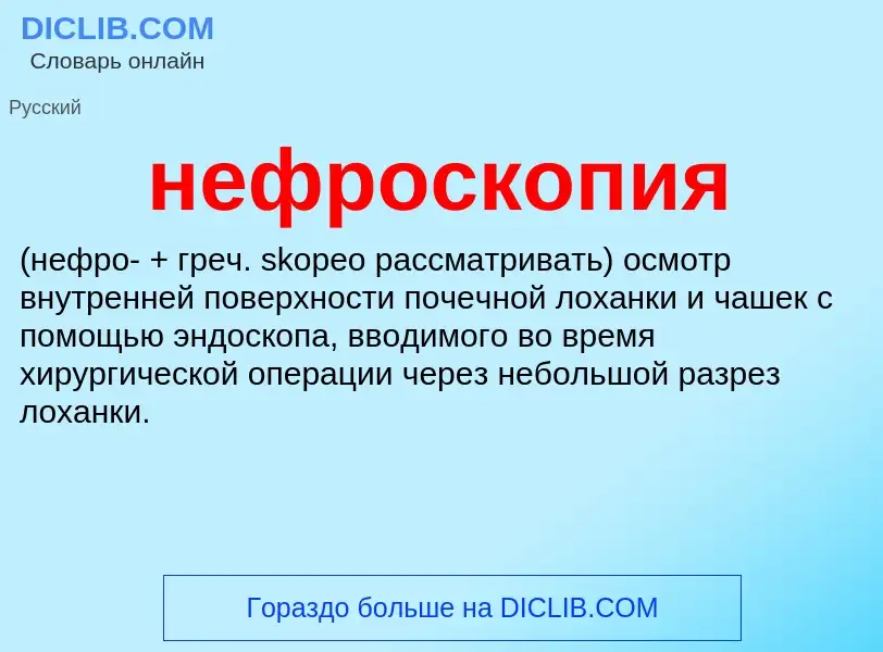 Что такое нефроскопия  - определение