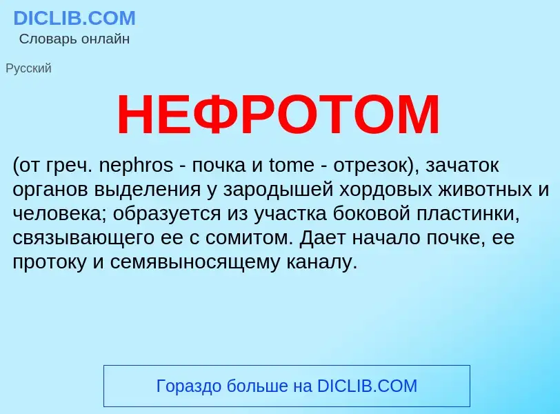 What is НЕФРОТОМ - meaning and definition