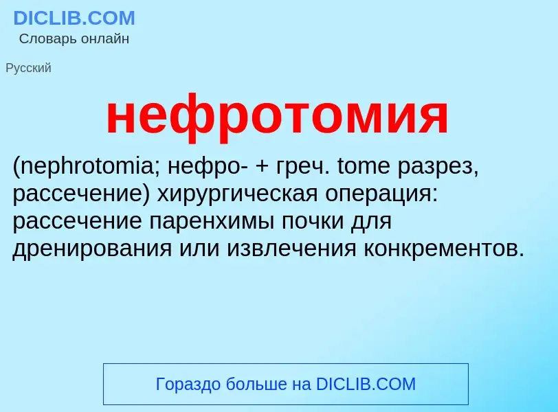 Что такое нефротомия  - определение