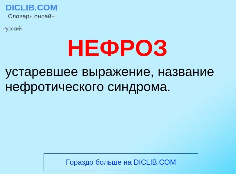 Che cos'è НЕФРОЗ - definizione