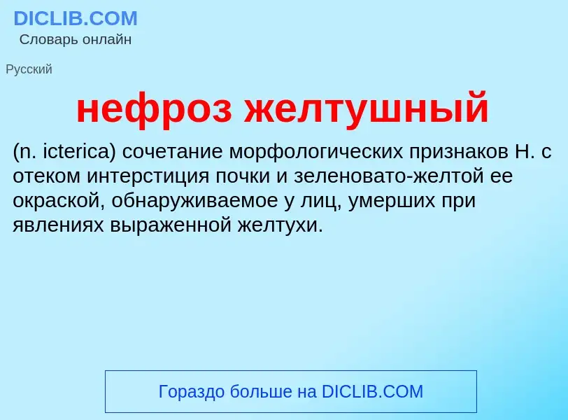 Что такое нефроз желтушный  - определение