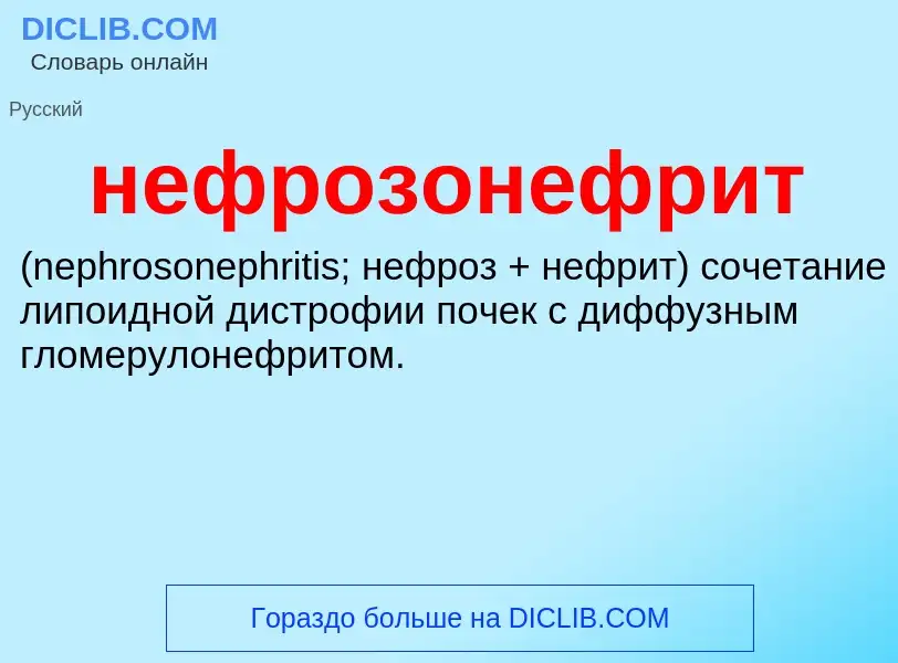 Что такое нефрозонефрит  - определение