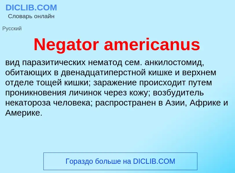 Что такое Negator americanus - определение