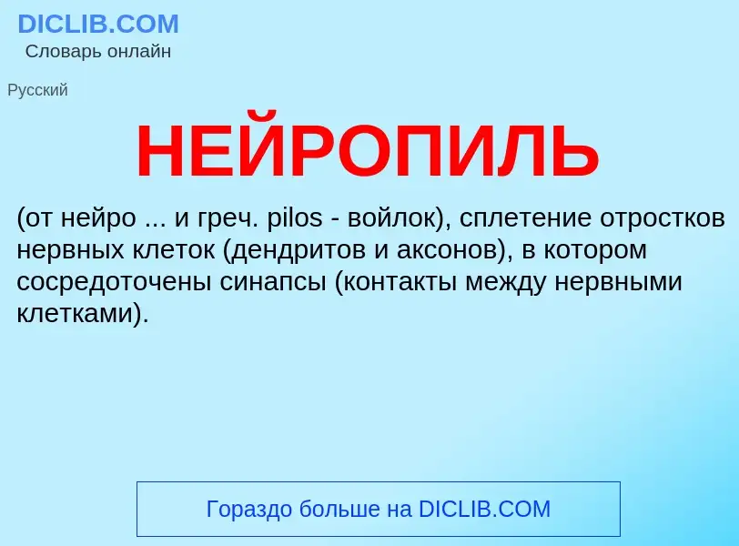 What is НЕЙРОПИЛЬ - meaning and definition