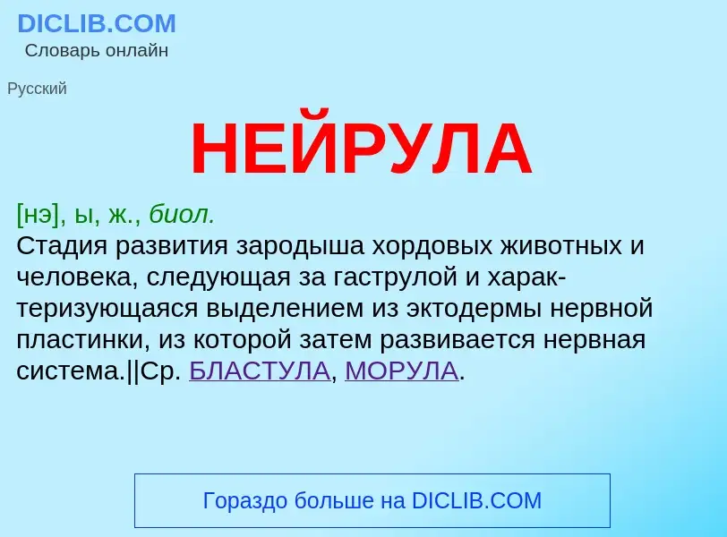 What is НЕЙРУЛА - meaning and definition