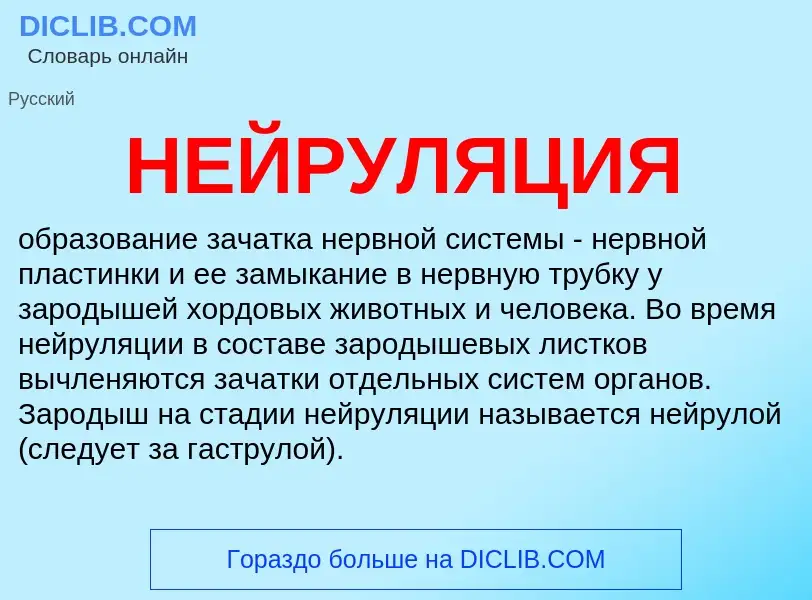 What is НЕЙРУЛЯЦИЯ - definition