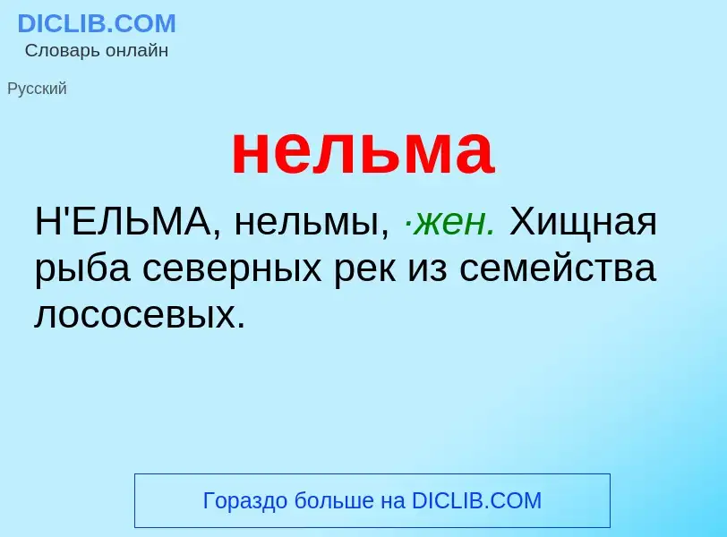 What is нельма - definition