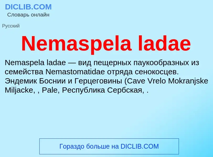 Что такое Nemaspela ladae - определение