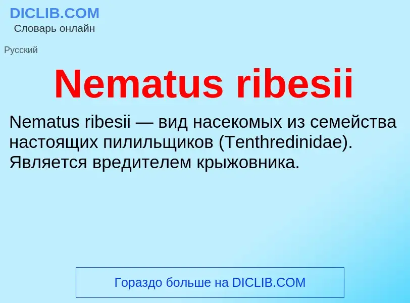 Что такое Nematus ribesii - определение