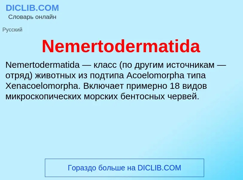 Что такое Nemertodermatida - определение