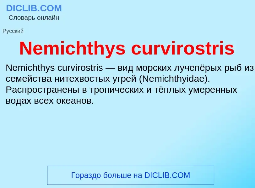 Что такое Nemichthys curvirostris - определение