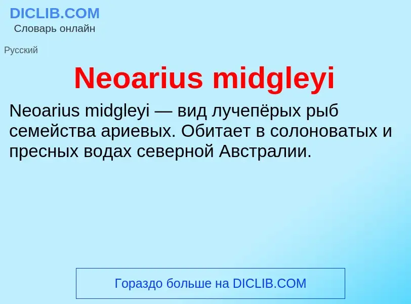 Что такое Neoarius midgleyi - определение