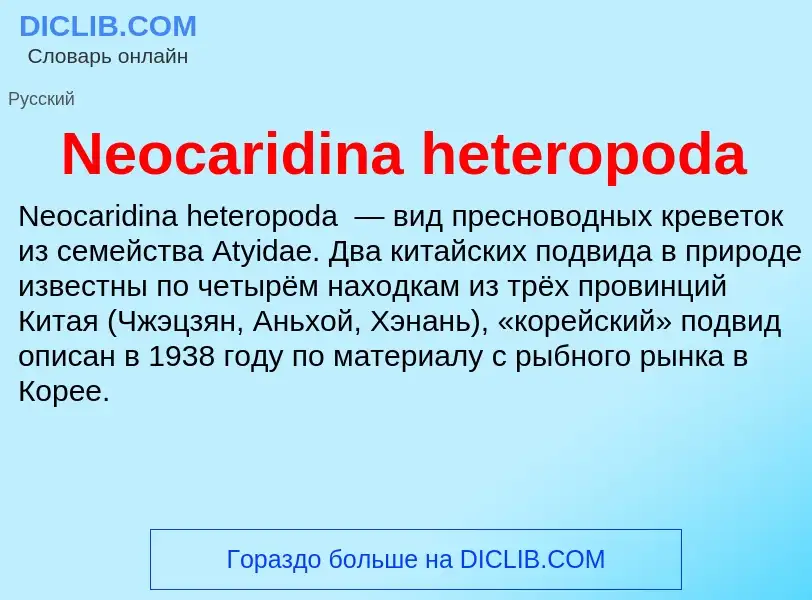 Что такое Neocaridina heteropoda - определение