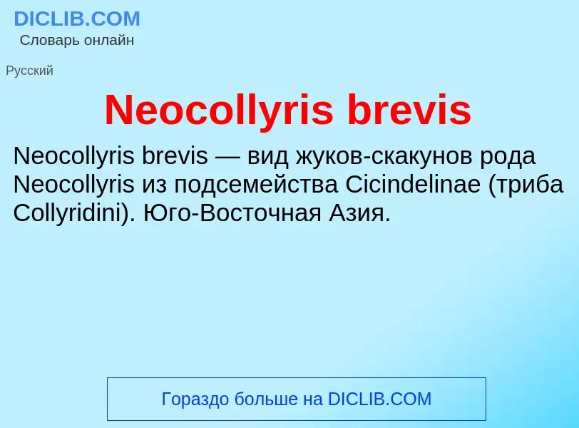 Что такое Neocollyris brevis - определение