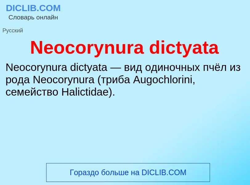 Что такое Neocorynura dictyata - определение