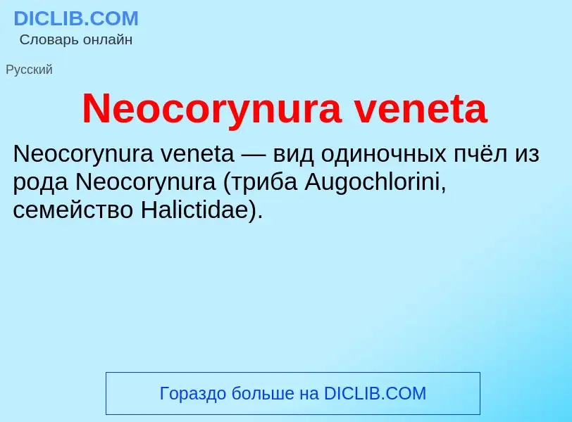 Что такое Neocorynura veneta - определение