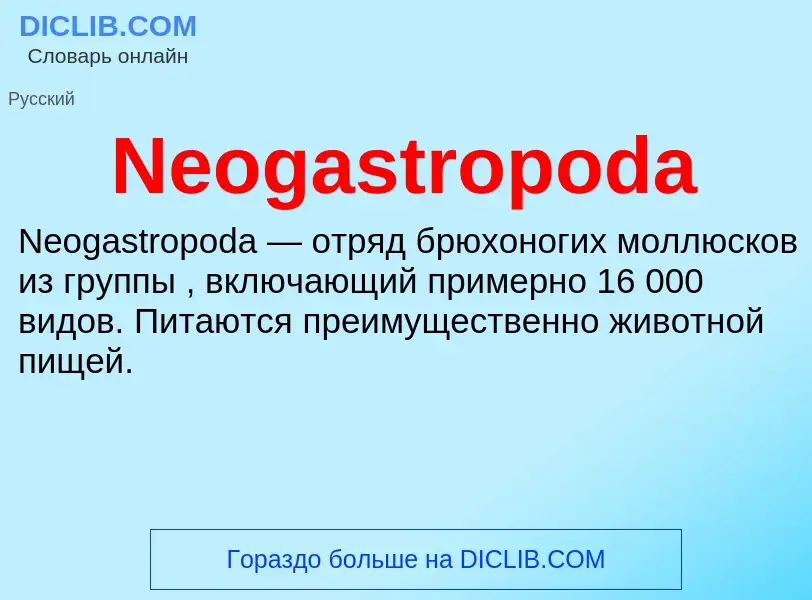 Что такое Neogastropoda - определение