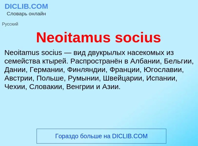 Что такое Neoitamus socius - определение