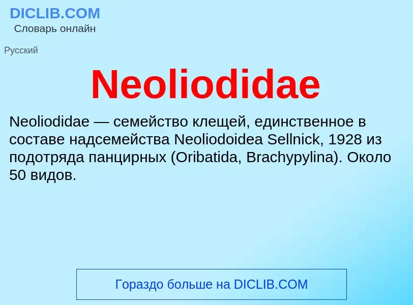 Что такое Neoliodidae - определение