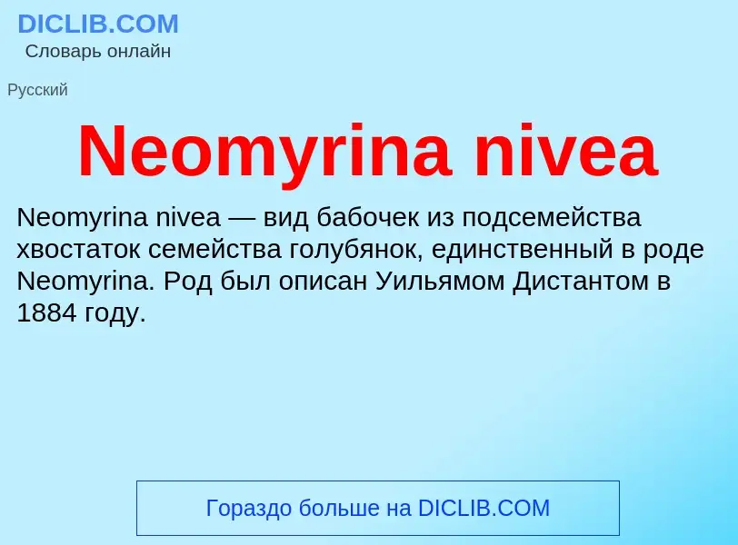 What is Neomyrina nivea - meaning and definition