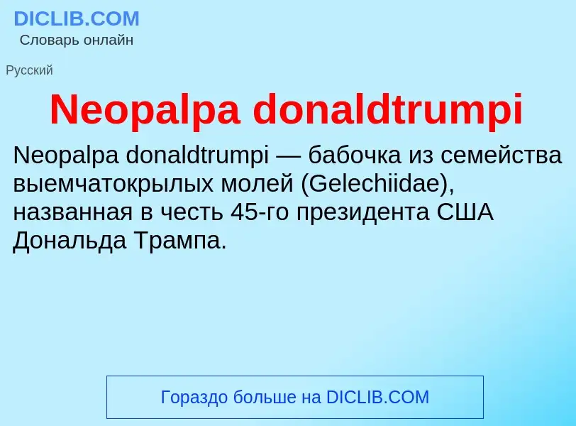 Что такое Neopalpa donaldtrumpi - определение