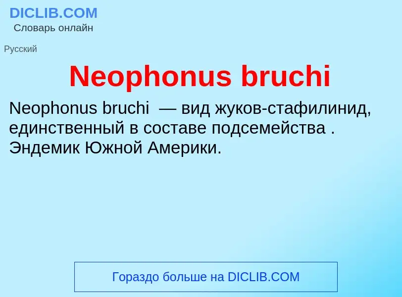 Что такое Neophonus bruchi - определение