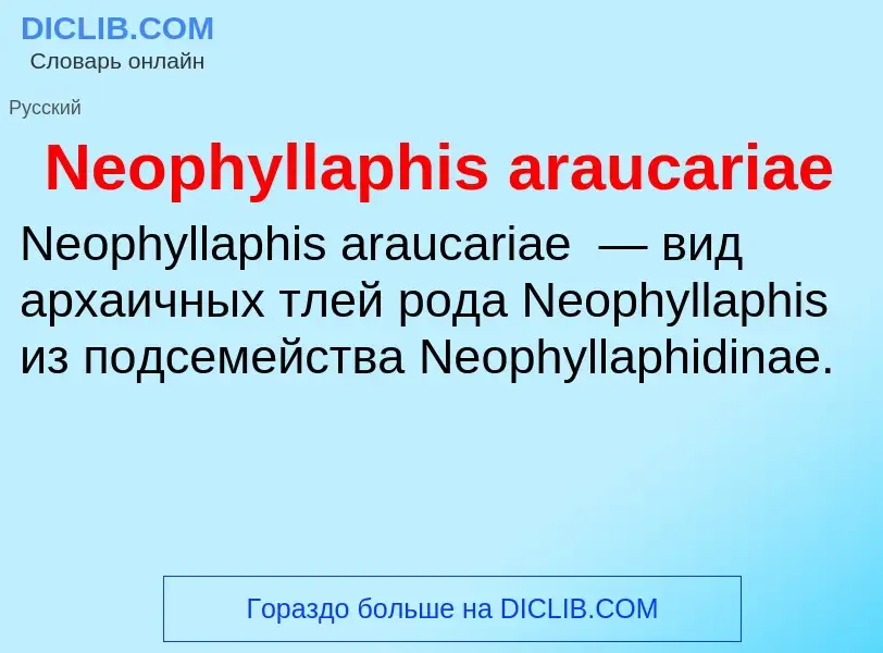 Что такое Neophyllaphis araucariae - определение