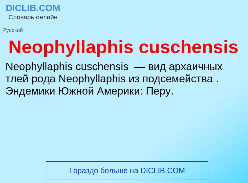 Что такое Neophyllaphis cuschensis - определение