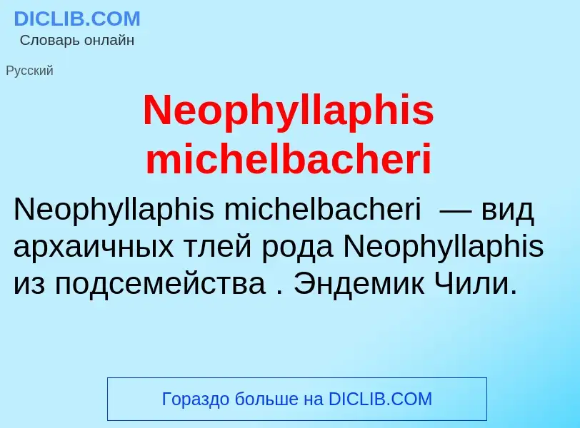 Что такое Neophyllaphis michelbacheri - определение